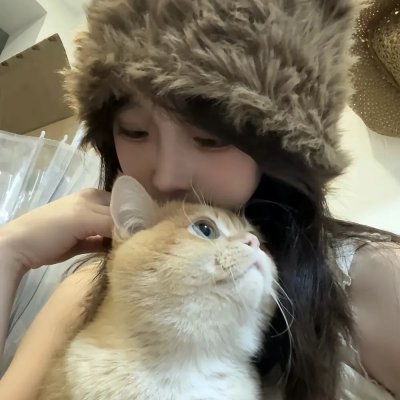 与鲨鱼游弋